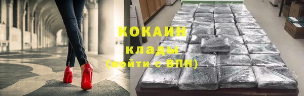 индика Заволжск