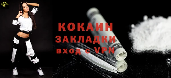 индика Заволжск