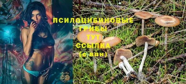 круглые Ельня